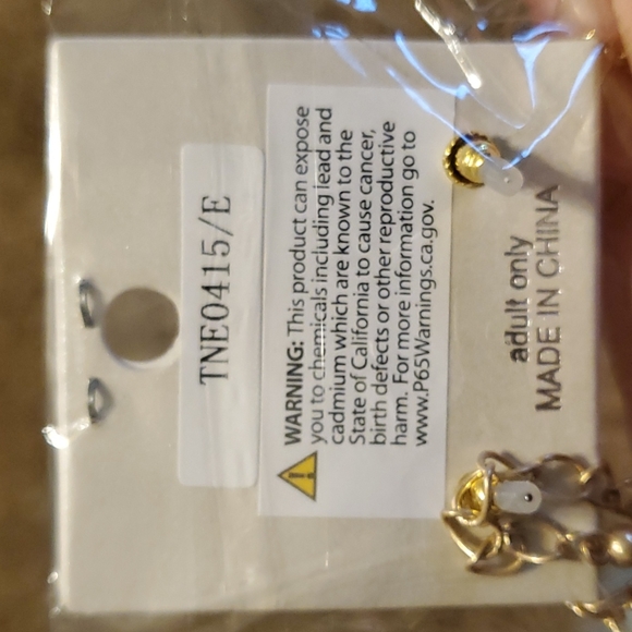 Necklace and Earrings - Picture 6 of 6